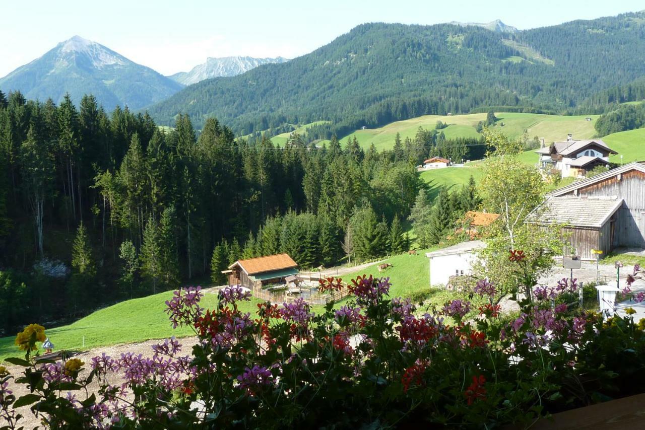 Tratlhof Apartment Achenkirch Luaran gambar
